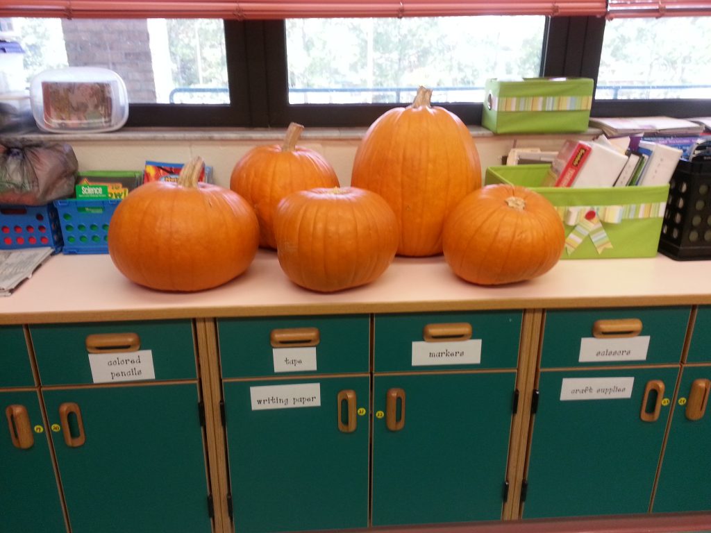 Have parents bring in pumpkins for a pumpkin fun filled day!
