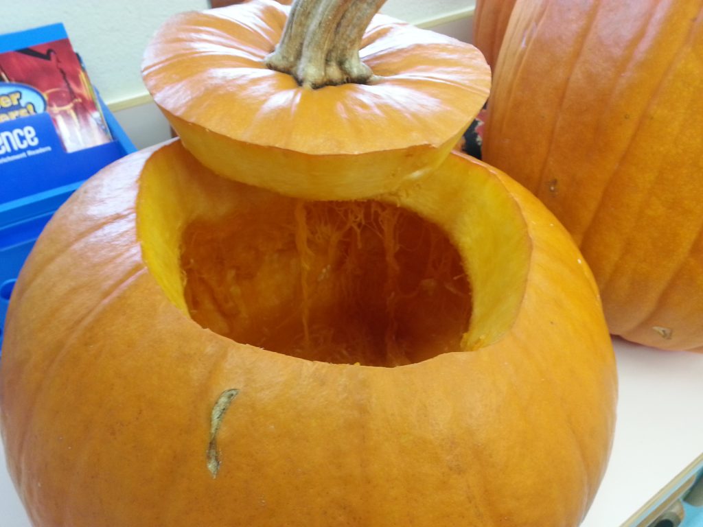 Open up a pumpkin and have kids explore to learn more about the pumpkin's parts. 