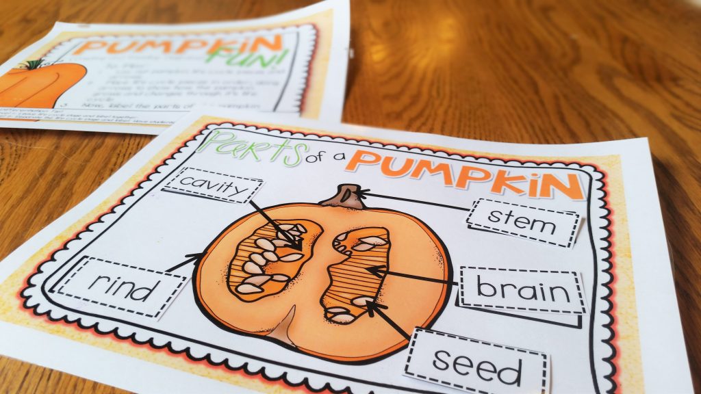 Parts of a Pumpkin diagram center