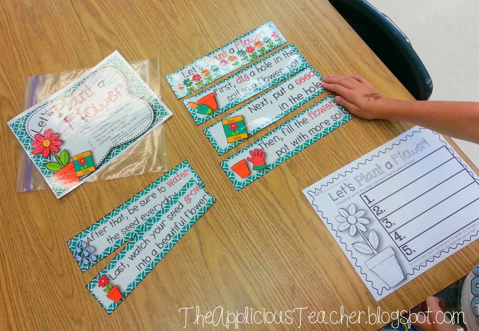 plant activities for 2nd grade