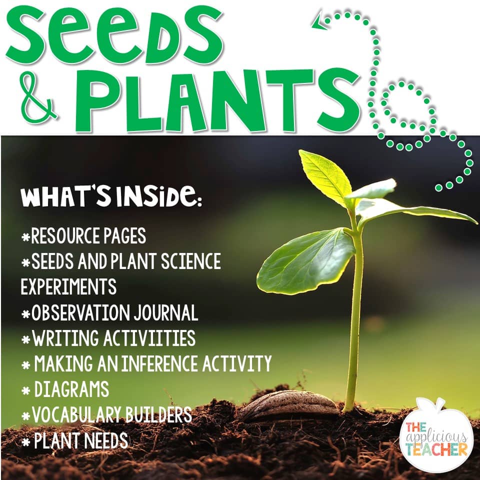 Seeds and plants unit for 2nd and 3rd grade