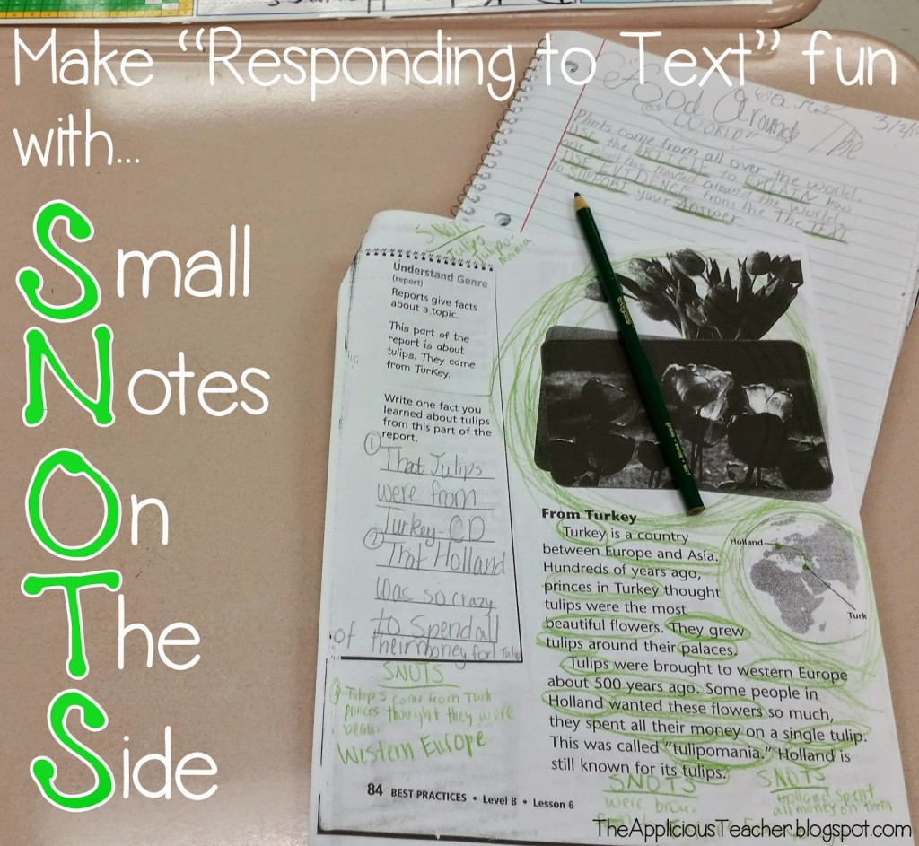 Strategey for students to annotate text using SNOTS- Text marking using SNOTS