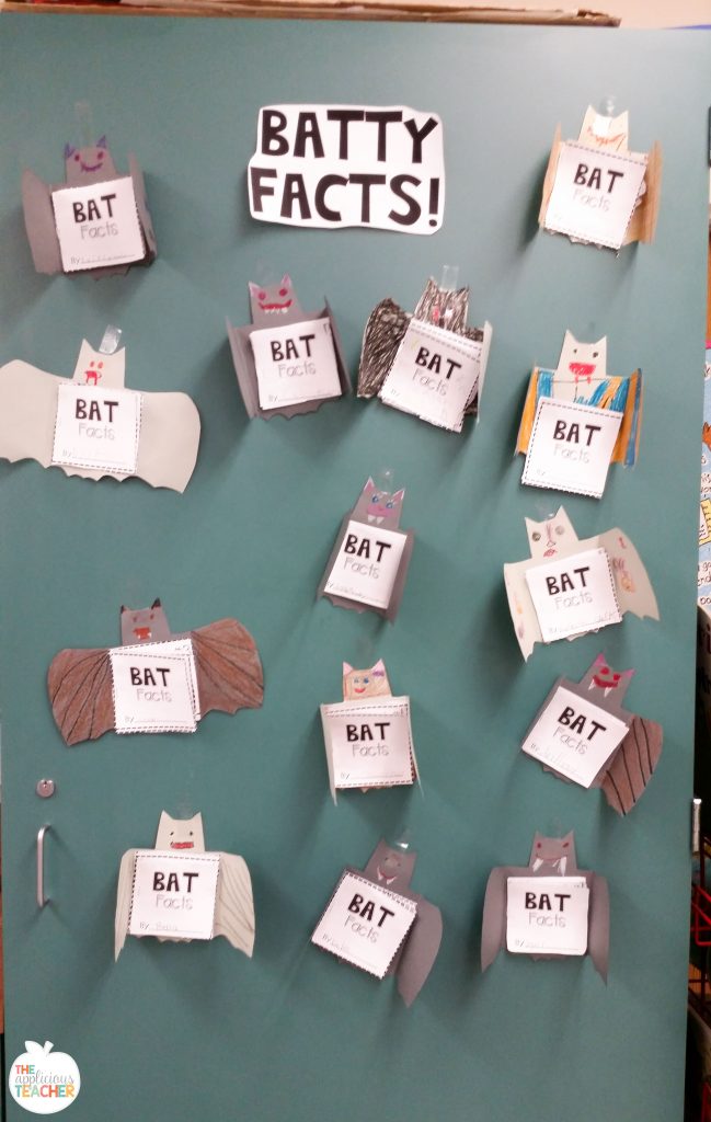 Bat Facts bulletin board