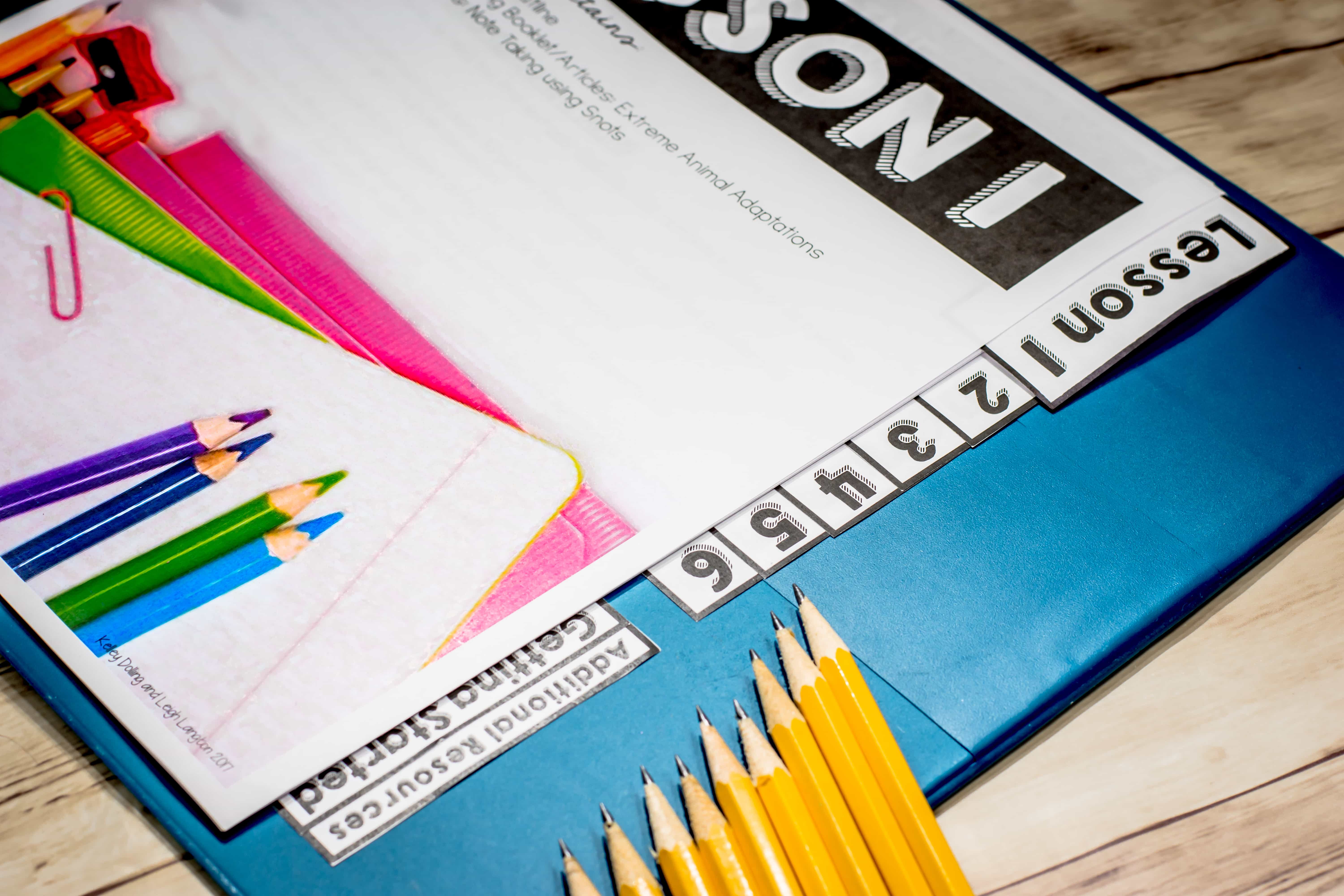 Responding to Text Writing Lesson Plans and Activities