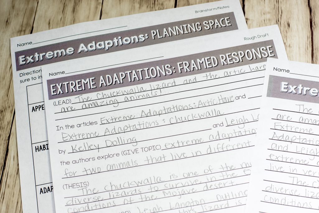 Framed response sheets for responding to text, text based writing process 3rd 4th 5th grade