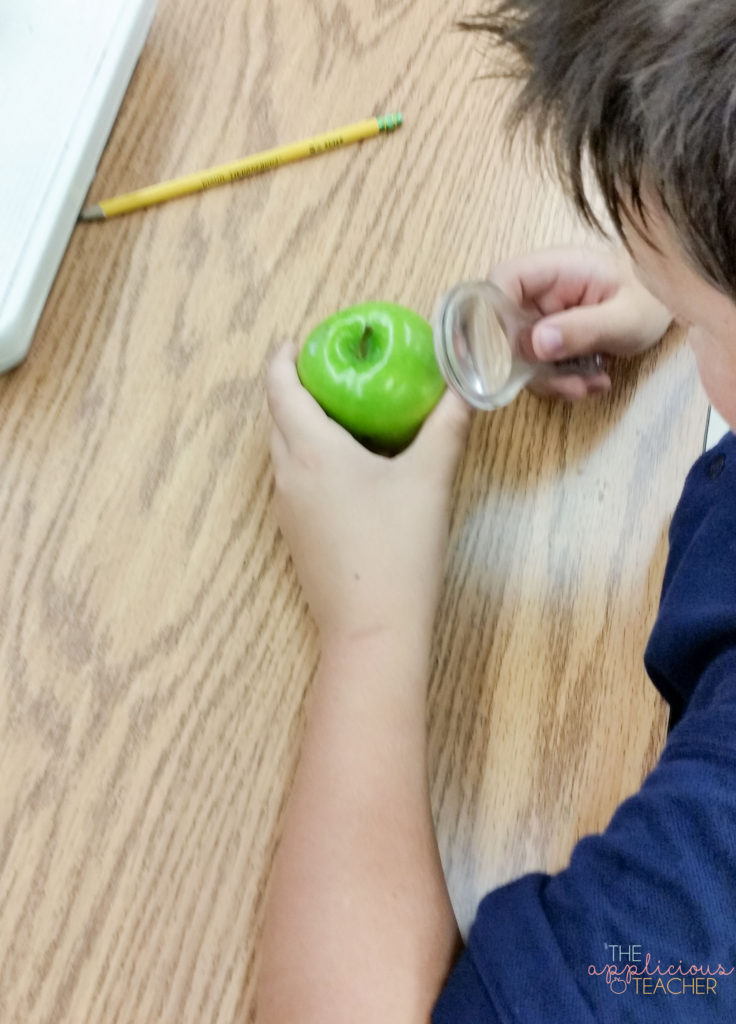 making observations of apples to better understand the properties of matter