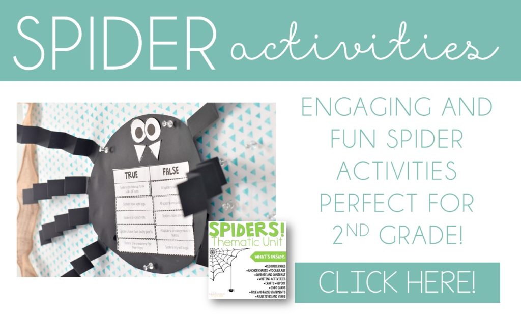 spider unit activities for 2nd grade