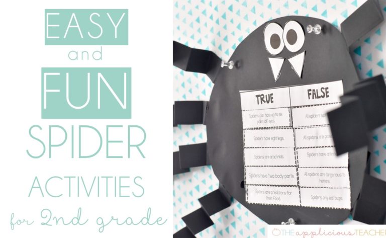 easy and fun spider activities for 2nd grade