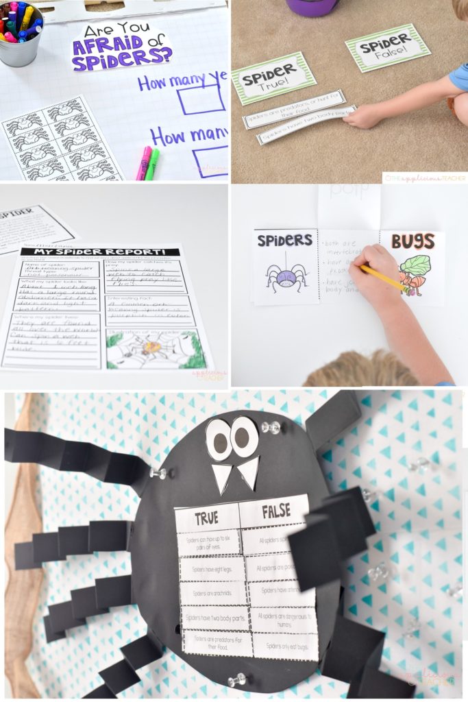 Super cute and fun spider activities perfect for 2nd grade-theAppliciousteacher.com #2ndgrade #spiderunit