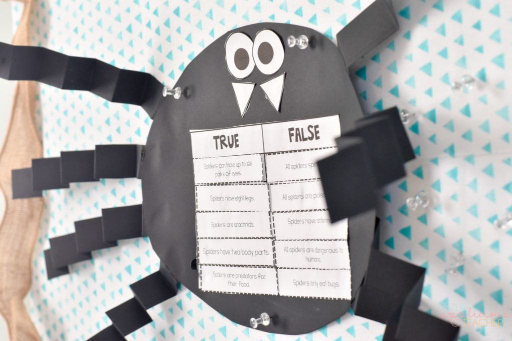 spider craft using true and false statements