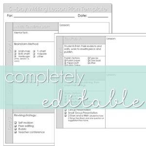 5 day writing lesson plan template