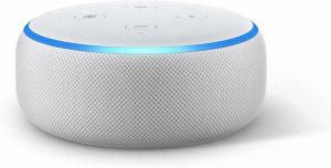 https://theappliciousteacher.com/wp-content/uploads/2020/03/Echo-Dot-300x152.jpg