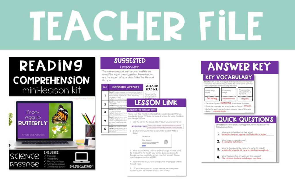 reading comp teacher file