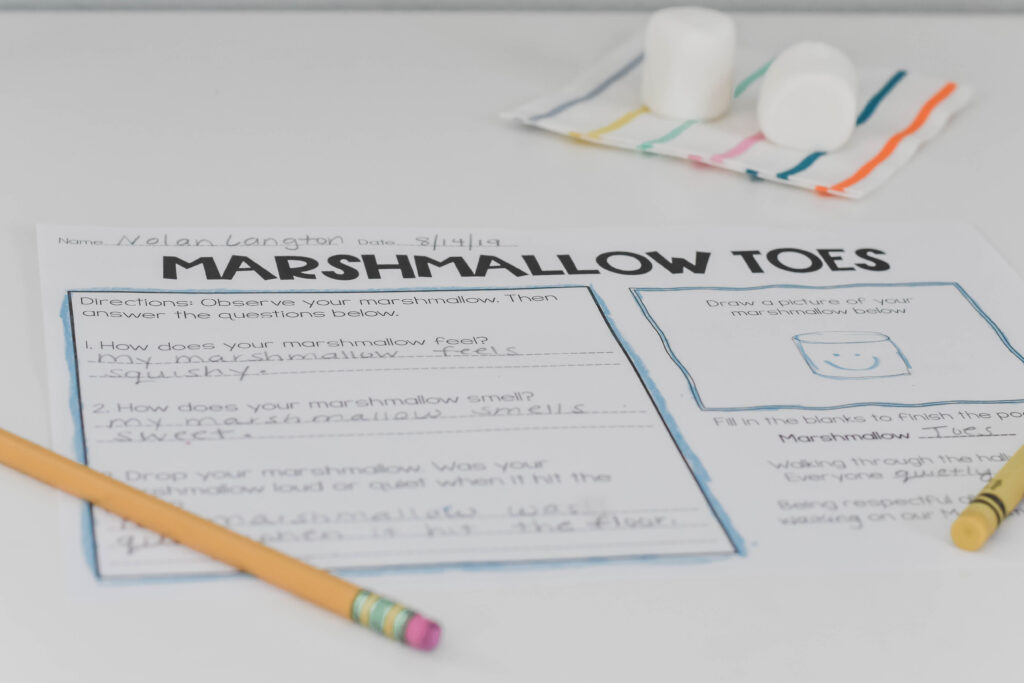 marshmallow toes worksheet