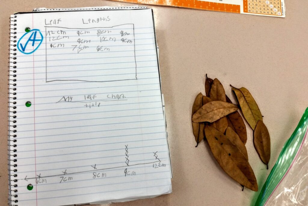 measurement ideas 2nd grade