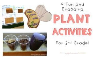 9 Fun Plant Activities for 2nd Grade - The Applicious Teacher