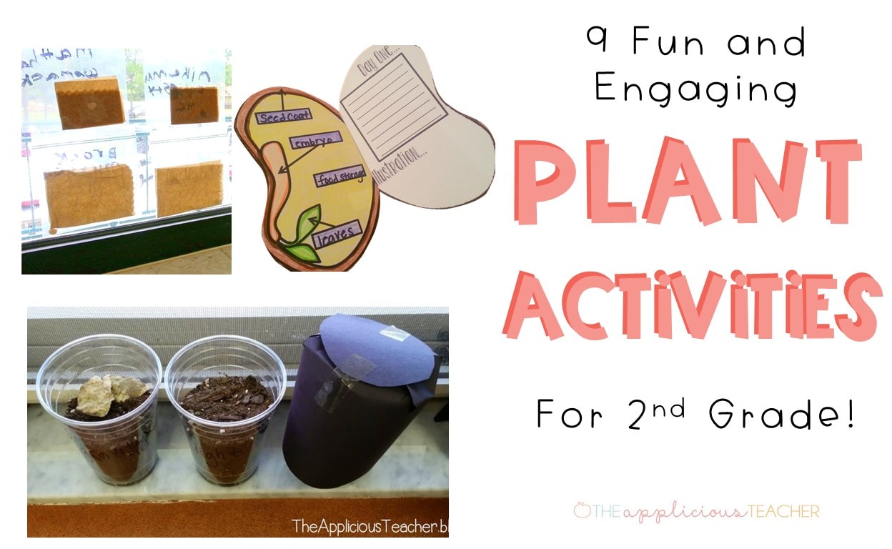 Author's Purpose Digital Review Game and Interactive Activity - Fun in 5th  Grade & MORE