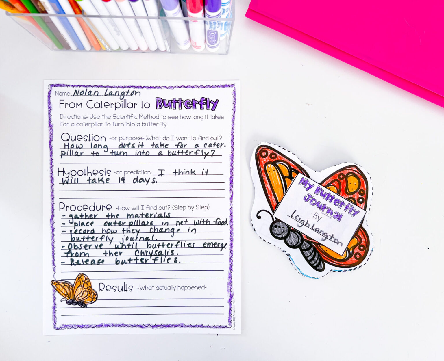 8 Life Cycle Activities Perfect for 2nd Grade - The Applicious Teacher