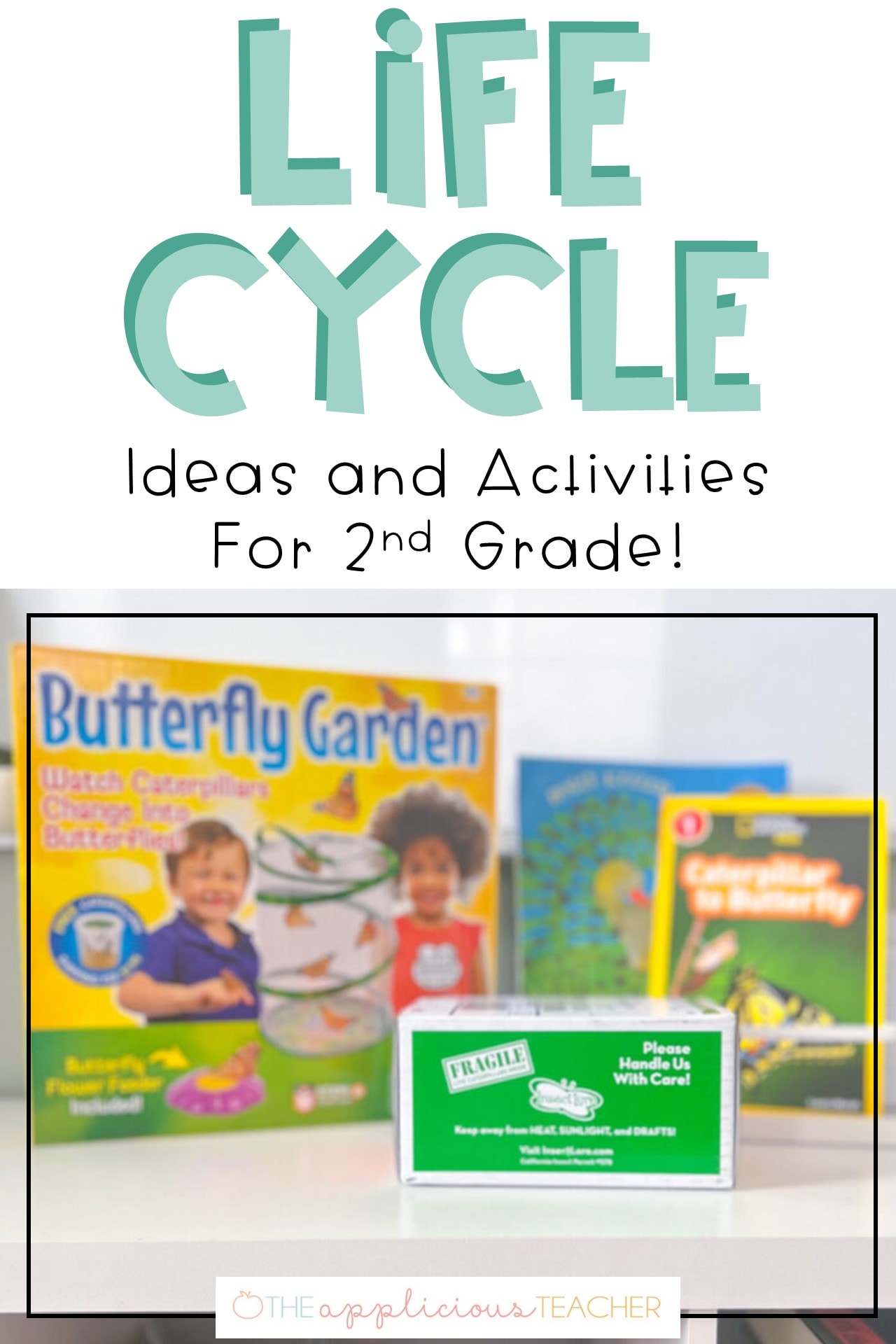 life cycle activities for 2nd grade