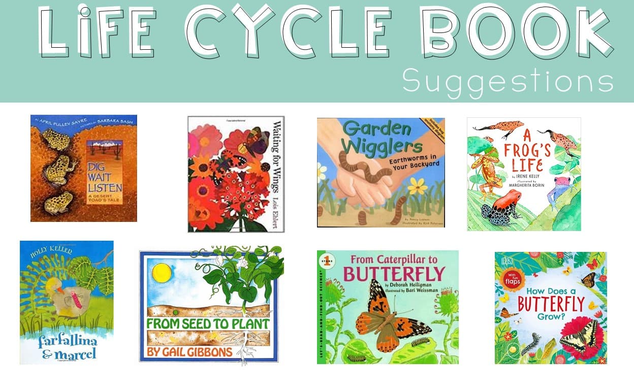 life cycle book suggestions