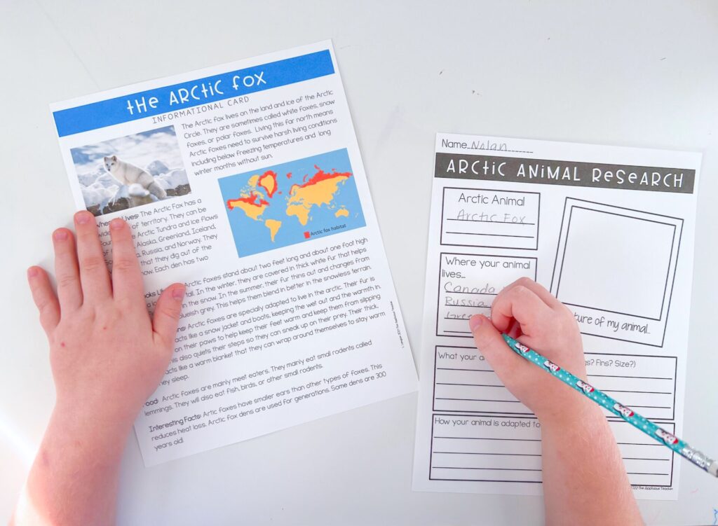 arctic animal research information sheets