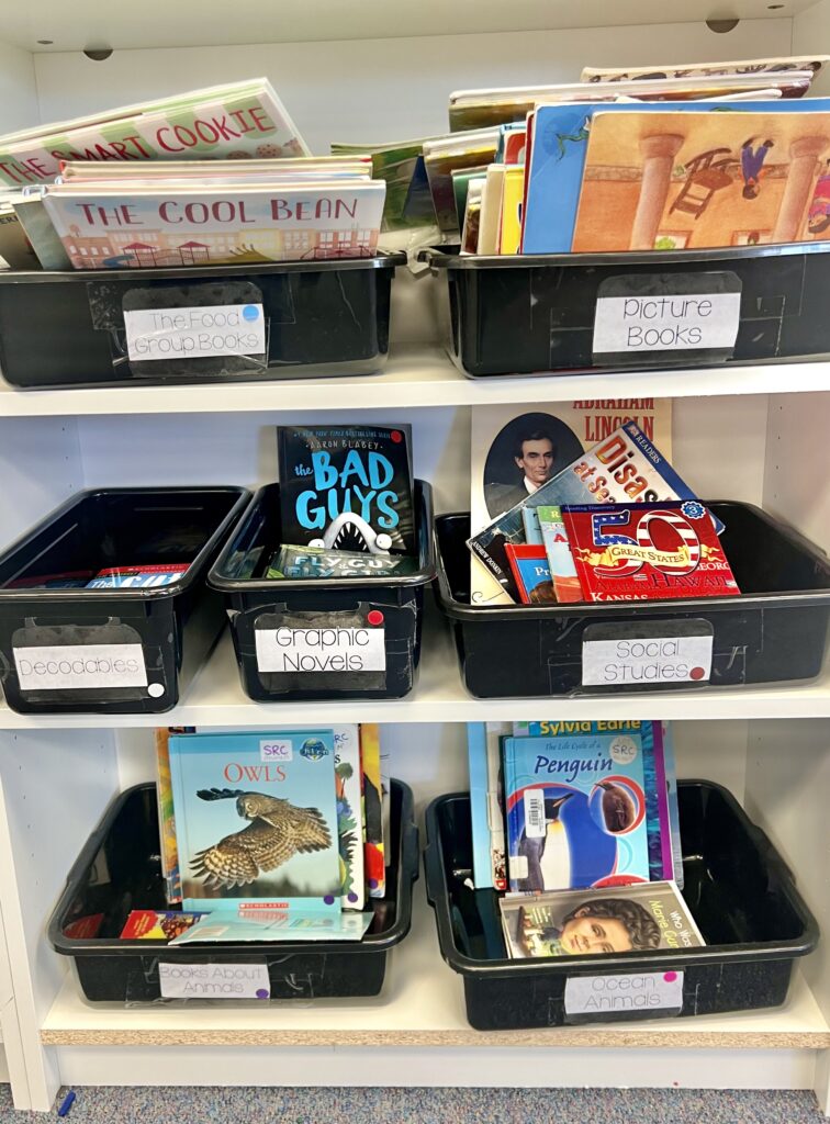 classroom book bins